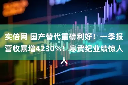 实倍网 国产替代重磅利好！一季报营收暴增4230%！寒武纪业绩惊人
