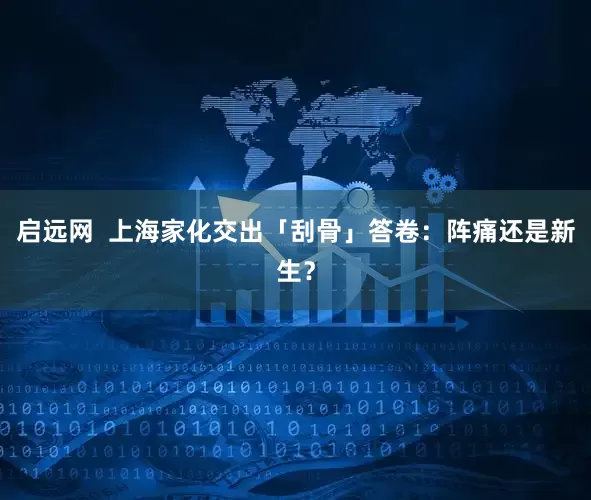 启远网  上海家化交出「刮骨」答卷：阵痛还是新生？