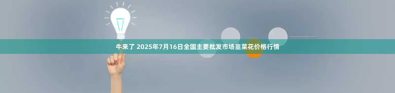 牛来了 2025年7月16日全国主要批发市场韭菜花价格行情